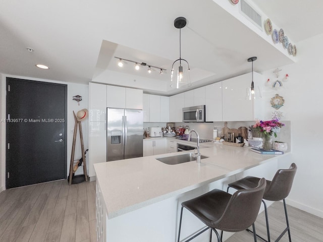 999 SW 1st Ave Unit 1609, Miami, FL 33130 - kitchen with stainless steel appliances, a peninsula, a tray ceiling, light countertops, and light wood-style flooring