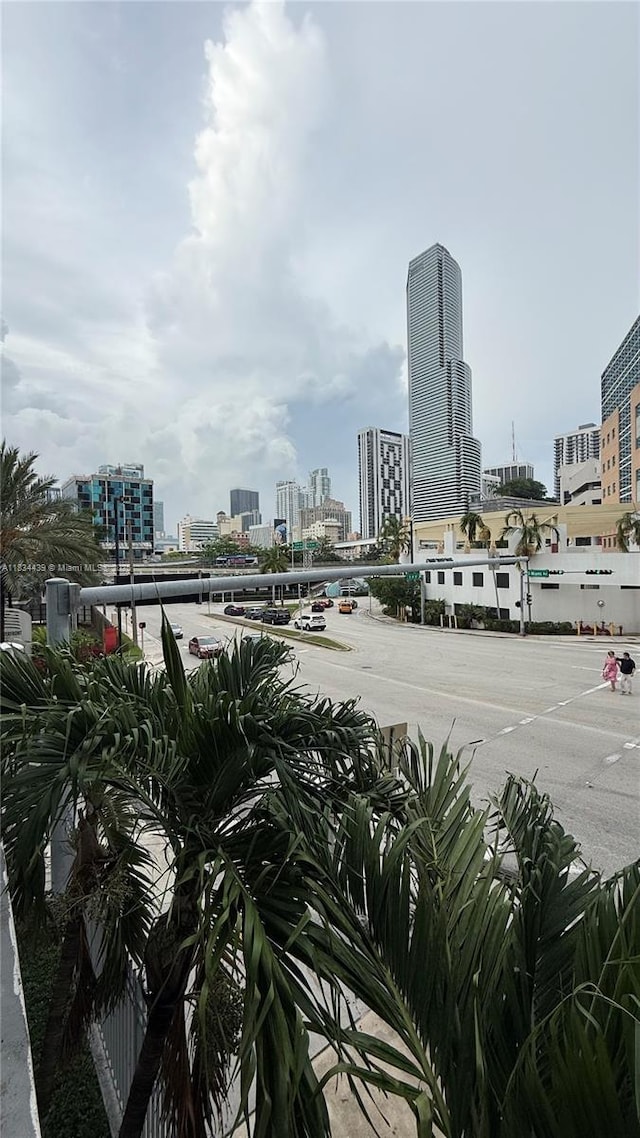 350 S Miami Ave Unit 302, Miami, FL 33130 - skyline view