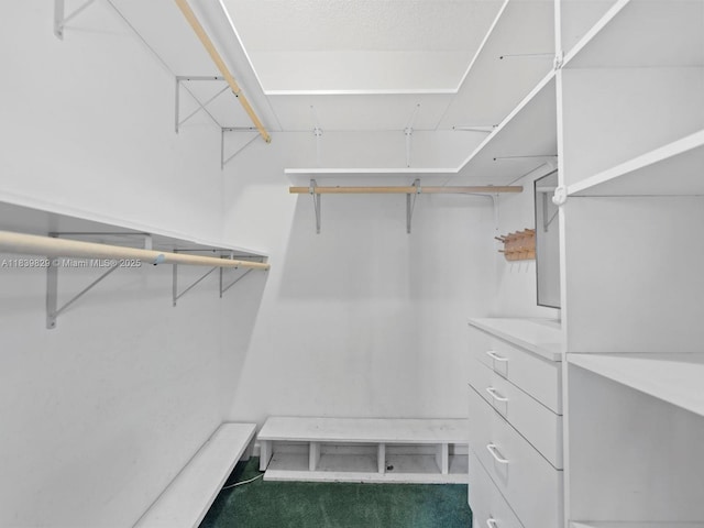1440 Egret Rd, Homestead, FL 33035 - walk in closet with carpet flooring