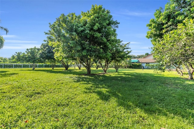 23595 SW 152nd Ave, Homestead, FL 33032 - photo 40
