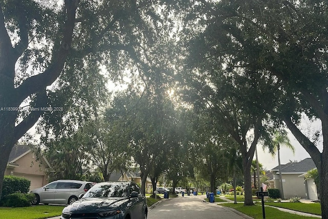 7111 Colony Pointe Dr, Riverview, FL 33578 - view of asphalt street with curbs, sidewalks, and a residential view