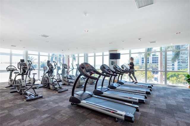 1155 Brickell Bay Dr Unit 3403, Miami, FL 33131 - exercise room with carpet, plenty of natural light, expansive windows, and recessed lighting