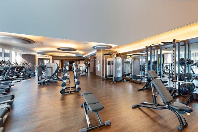 200 Biscayne Boulevard Way Unit 502, Miami, FL 33131 - gym with wood finished floors