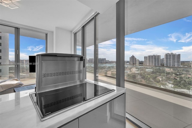 18975 Collins Ave Unit 1105, Sunny Isles Beach, FL 33160 - detailed view of skyline