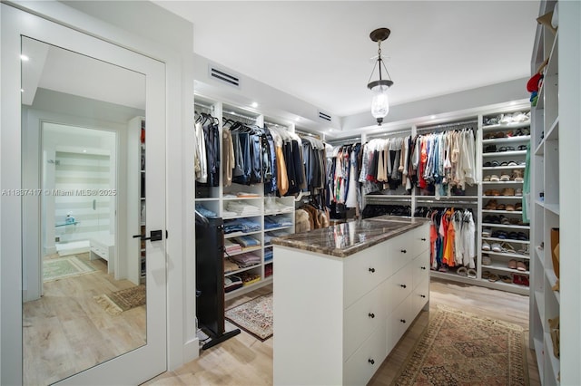700 Coral Way Unit 4, Coral Gables, FL 33134 - spacious closet featuring light wood-style floors
