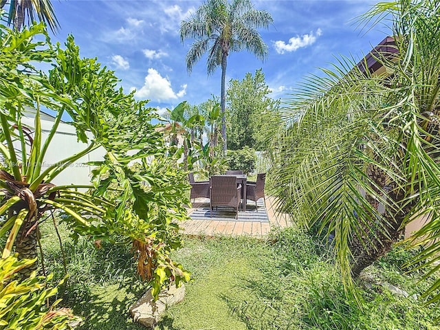 11624 Ottawa Ave, Orlando, FL 32837 - photo 35