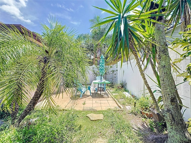 11624 Ottawa Ave, Orlando, FL 32837 - photo 36
