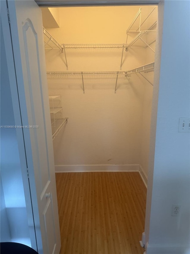 6001 SW 70th St Unit 304, South Miami, FL 33143 - walk in closet with wood finished floors