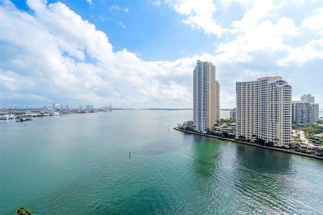 325 S Biscayne Blvd Unit 1823, Miami, FL 33131 - water view with city skyline