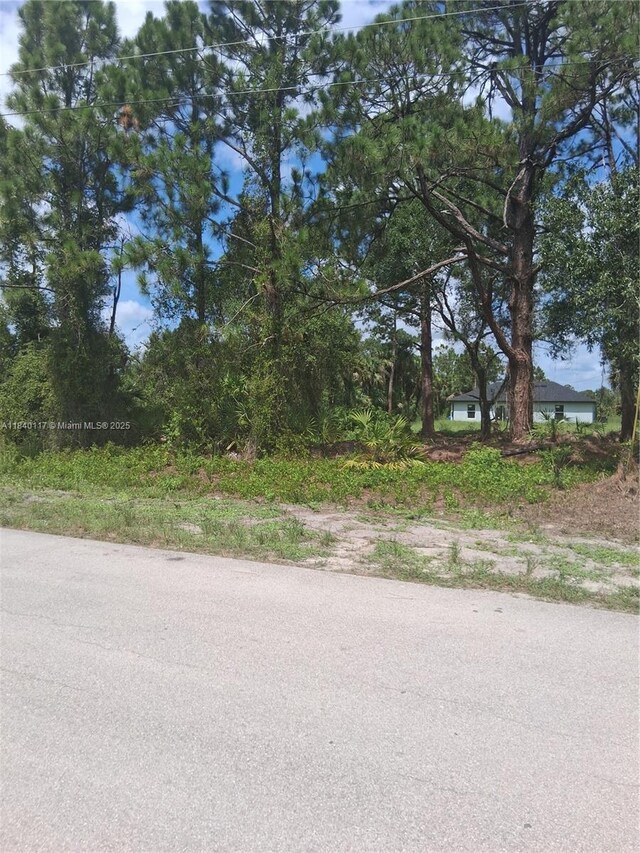 756 Bianca Ave, Lehigh Acres, FL 33974