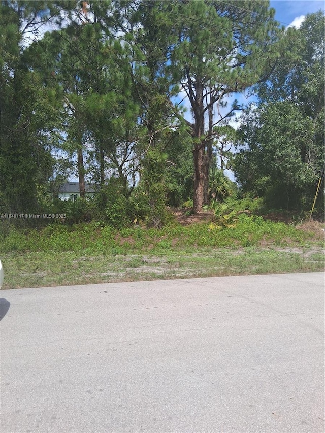 756 Bianca Ave, Lehigh Acres, FL 33974 - photo 2
