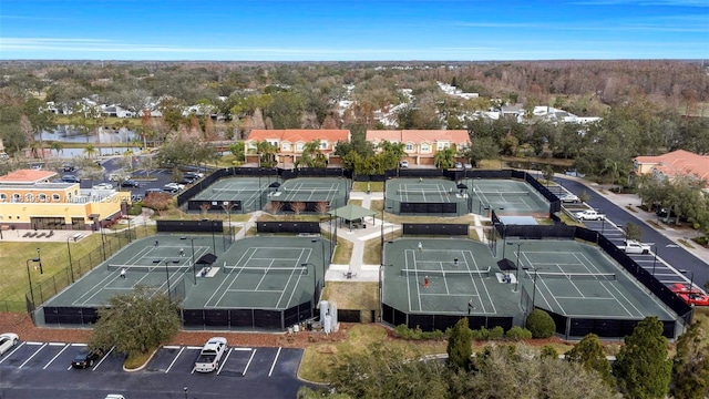 13941 Clubhouse Dr Unit 204, Tampa, FL 33611 - photo 64
