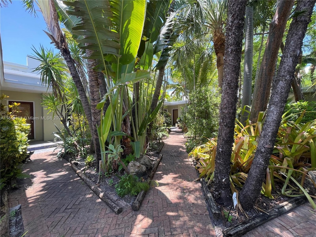 8300 Byron Ave Unit 5, Miami Beach, FL 33141 - view of patio
