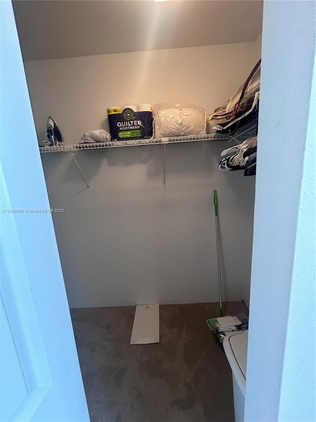 324 Poinciana Dr Unit 906, Sunny Isles Beach, FL 33160 - spacious closet with carpet