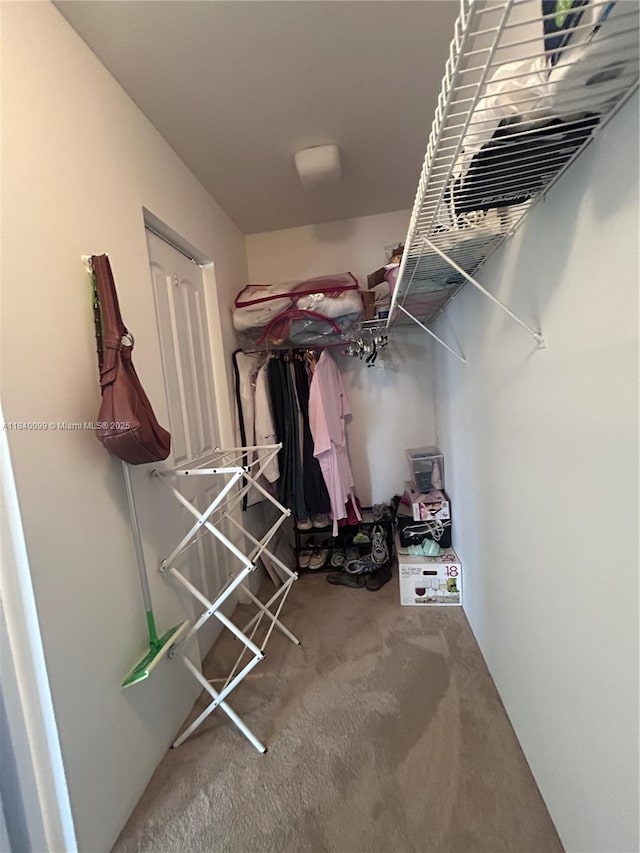 324 Poinciana Dr Unit 906, Sunny Isles Beach, FL 33160 - spacious closet with carpet