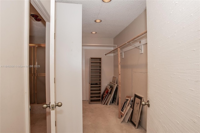 1800 NE 114th St Unit Ph06, Miami, FL 33181 - spacious closet with light carpet