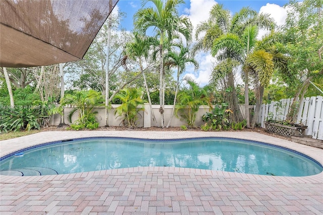 4945 SW 34th Ter, Hollywood, FL 33312 - view of pool with a fenced backyard