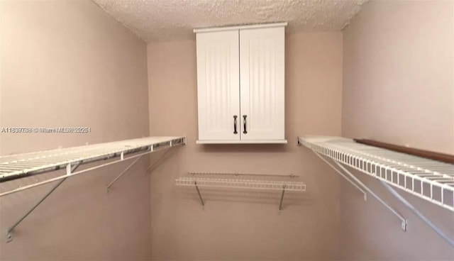 3690 N 56th Ave Unit 916, Hollywood, FL 33021 - view of spacious closet