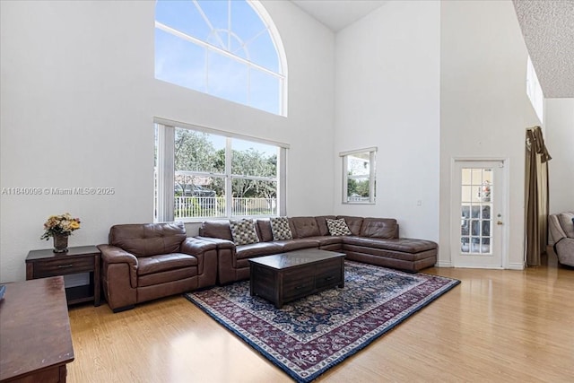 13063 NW 11th Ct, Sunrise, FL 33323 - living area featuring a high ceiling and wood finished floors