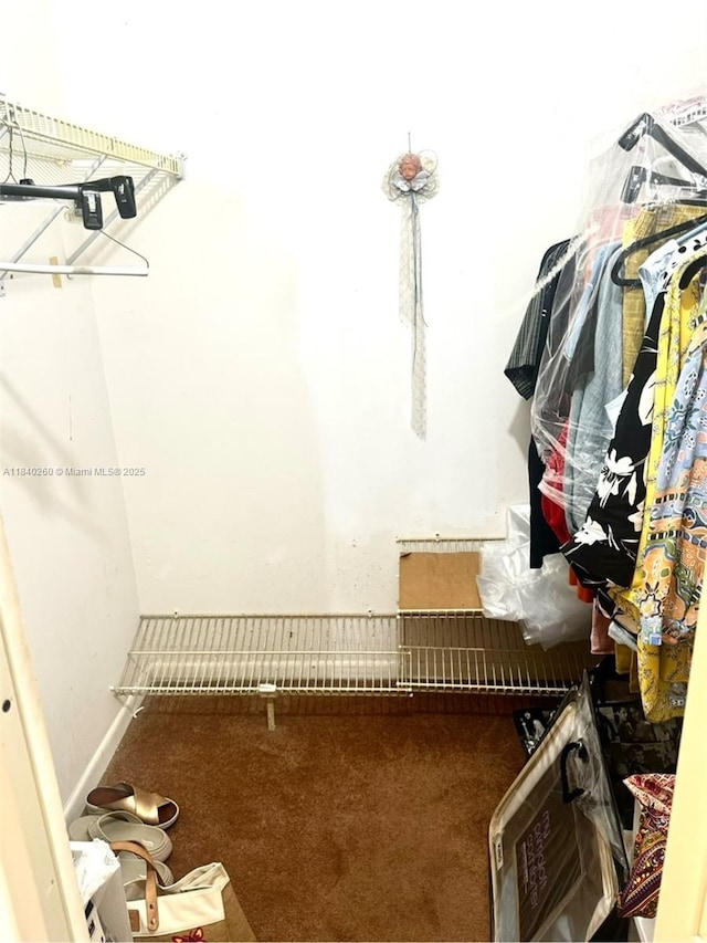 6911 SW 147th Ave Unit 3C, Miami, FL 33193 - walk in closet with carpet