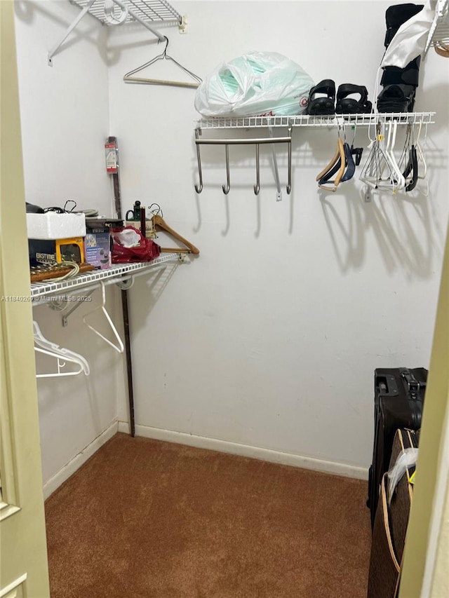 6911 SW 147th Ave Unit 3C, Miami, FL 33193 - walk in closet with carpet