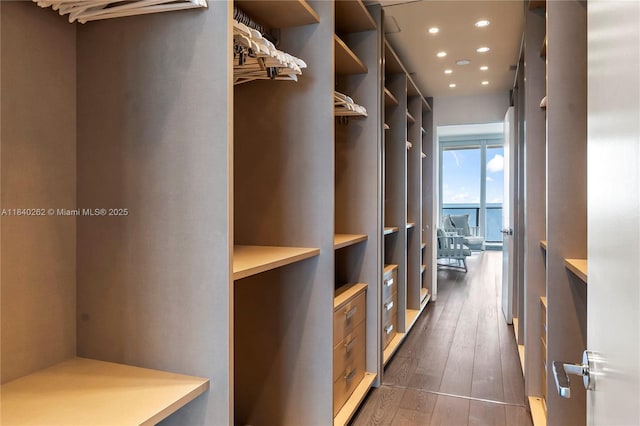 360 Ocean Dr Unit 704S, Key Biscayne, FL 33149 - spacious closet featuring dark wood-style flooring