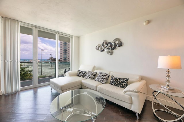 3801 S Ocean Dr Unit 5L, Hollywood, FL 33019 - living room with a wall of windows and wood finished floors