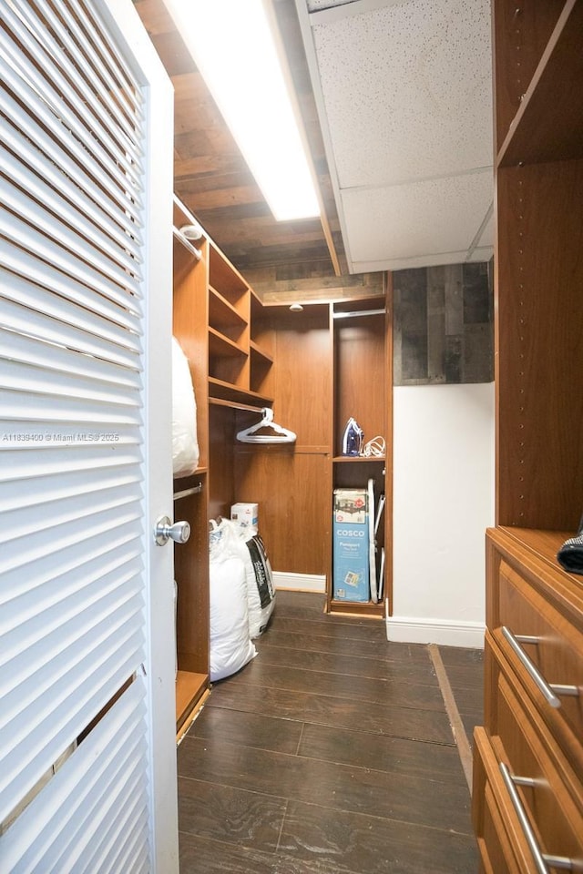 3801 S Ocean Dr Unit 5L, Hollywood, FL 33019 - walk in closet featuring dark wood-style flooring