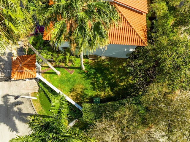 11647 NE 18th Dr Unit 11647, North Miami, FL 33181 - view of green lawn