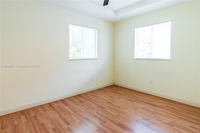 11647 NE 18th Dr Unit 11647, North Miami, FL 33181 - spare room featuring light wood-type flooring, healthy amount of natural light, and ceiling fan