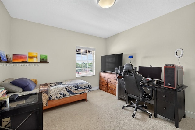 300 State E St Unit 326, Oldsmar, FL 34677 - photo 41
