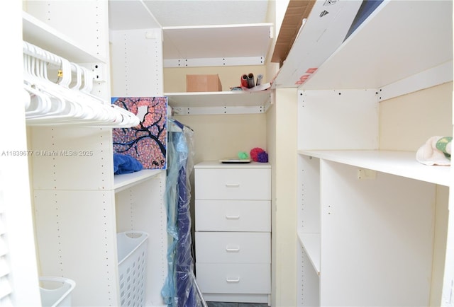 13935 SW 84th St Unit 905, Miami, FL 33183 - view of walk in closet