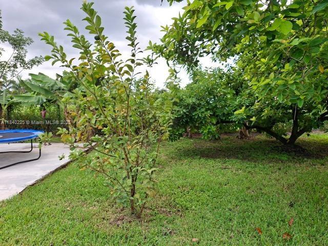 16961 SW 213th Ln, Miami, FL 33187 - view of grassy yard