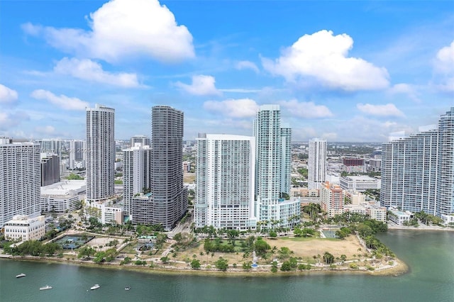 1750 SE Bayshore Dr Unit 2506, Miami, FL 33132 - city view with a large body of water