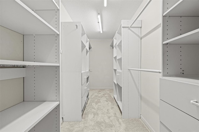 7767 NW 187th Ter, Miami, FL 33015 - walk in closet with carpet floors