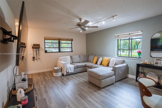 7625 NW 79th Ave Unit 101, Tamarac, FL 33321 - living room featuring plenty of natural light, a ceiling fan, light wood-type flooring, and a textured ceiling