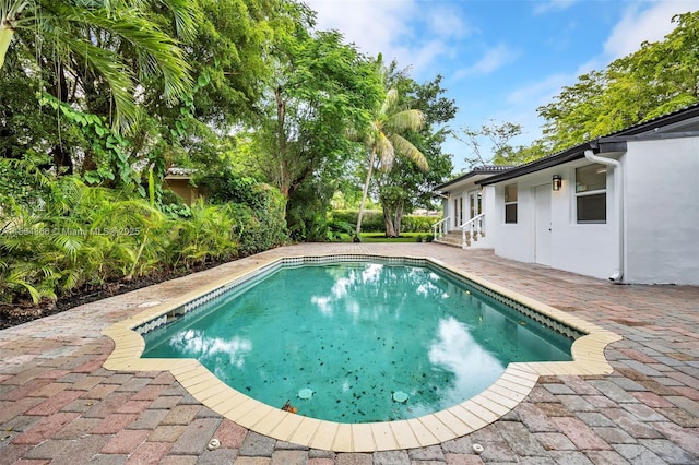 5701 SW 33rd St, Miami, FL 33155 - outdoor pool with a patio area and entry steps