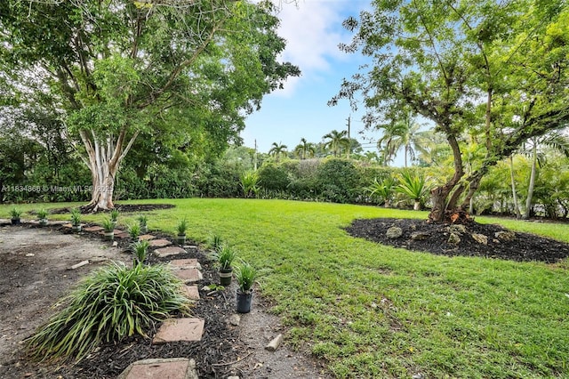 5701 SW 33rd St, Miami, FL 33155 - view of green lawn