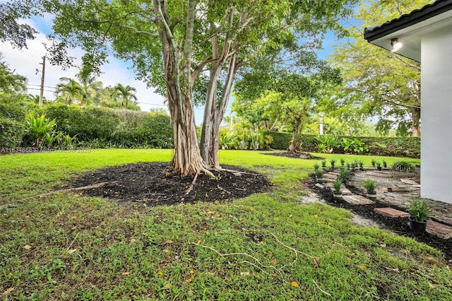 5701 SW 33rd St, Miami, FL 33155 - view of yard