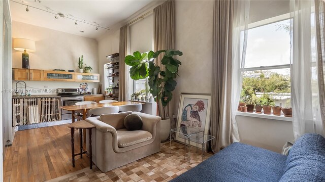 1521 Lenox Ave Unit 307, Miami Beach, FL 33139 - living room featuring track lighting and light wood-style flooring