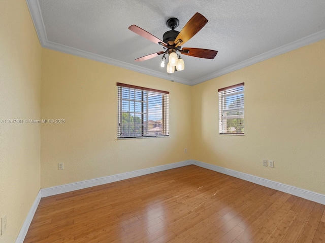 8998 SW 211th Ln, Cutler Bay, FL 33189 - photo 11
