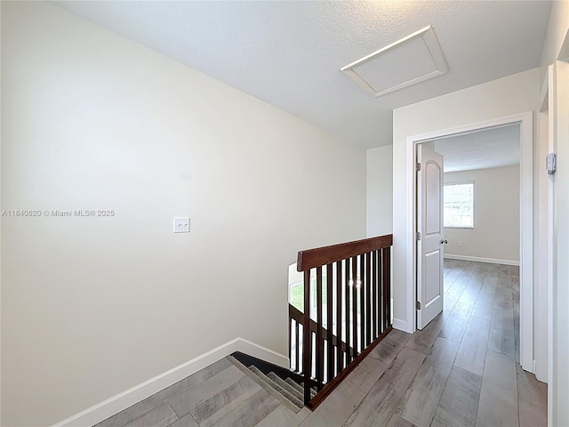 12841 SW 146th Ln, Miami, FL 33186 - photo 20