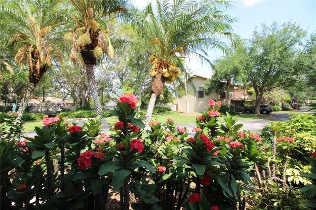 13009 SW 95th Ave Unit 13009, Miami, FL 33176 - photo 30