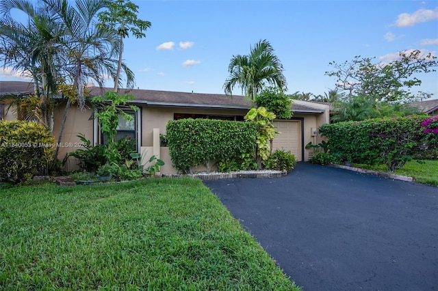 9530 W Daffodil Ln, Miramar, FL 33025 - single story home featuring stucco siding, asphalt driveway, an attached garage, and a front yard