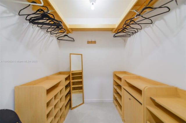13526 Jonquil Pl, Wellington, FL 33414 - view of walk in closet