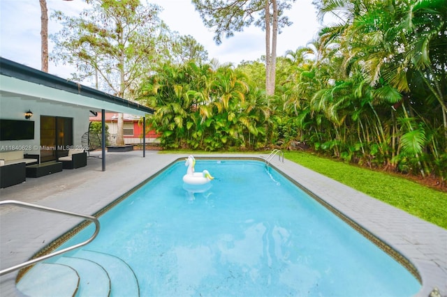 13526 Jonquil Pl, Wellington, FL 33414 - swimming pool featuring an outdoor hangout area and a patio