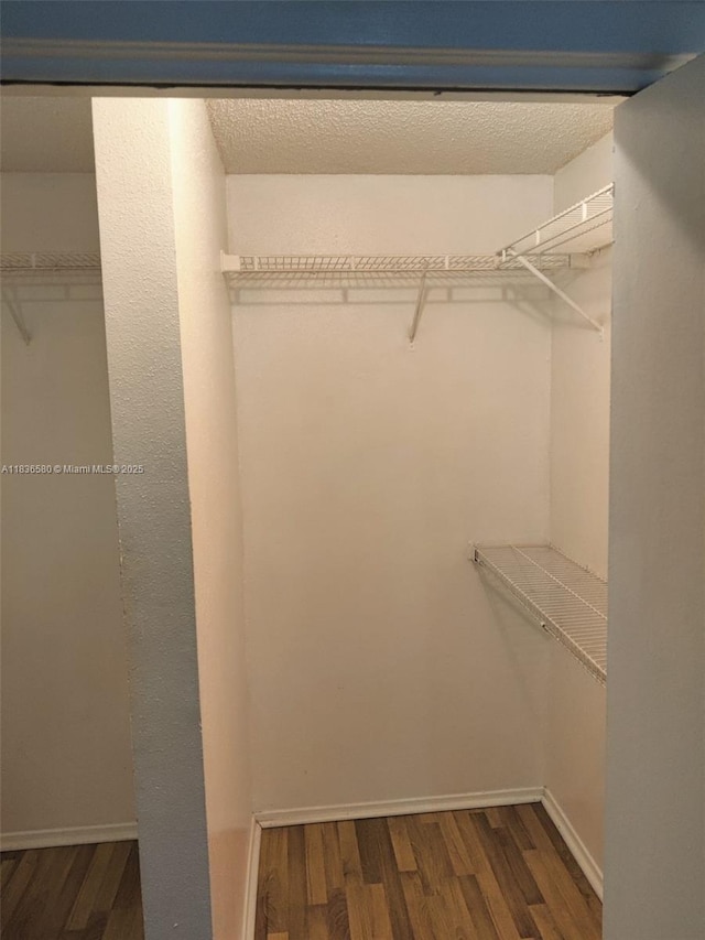 10361 SW 150th Ct Unit 13104, Miami, FL 33196 - walk in closet with dark wood-style floors