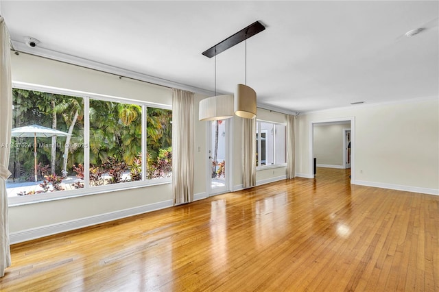 911 Mariana Ave, Coral Gables, FL 33134 - photo 15