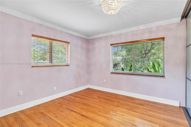 911 Mariana Ave, Coral Gables, FL 33134 - photo 32
