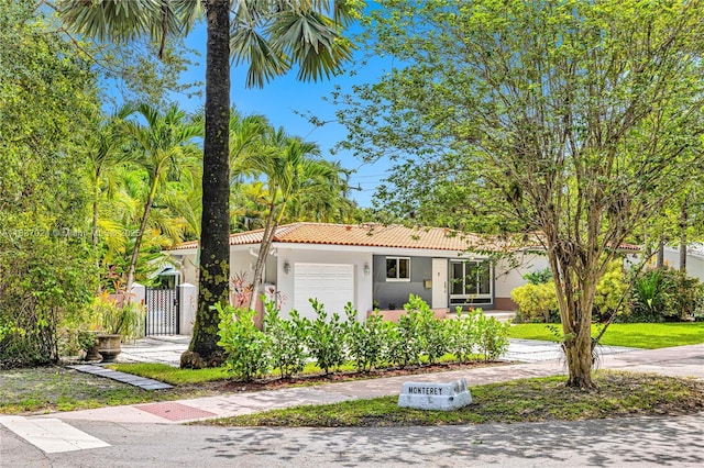 911 Mariana Ave, Coral Gables, FL 33134 - photo 46